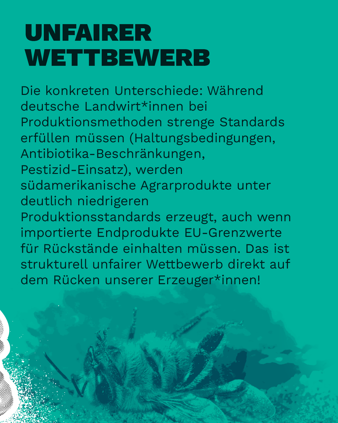 Landwirte – Slide 11