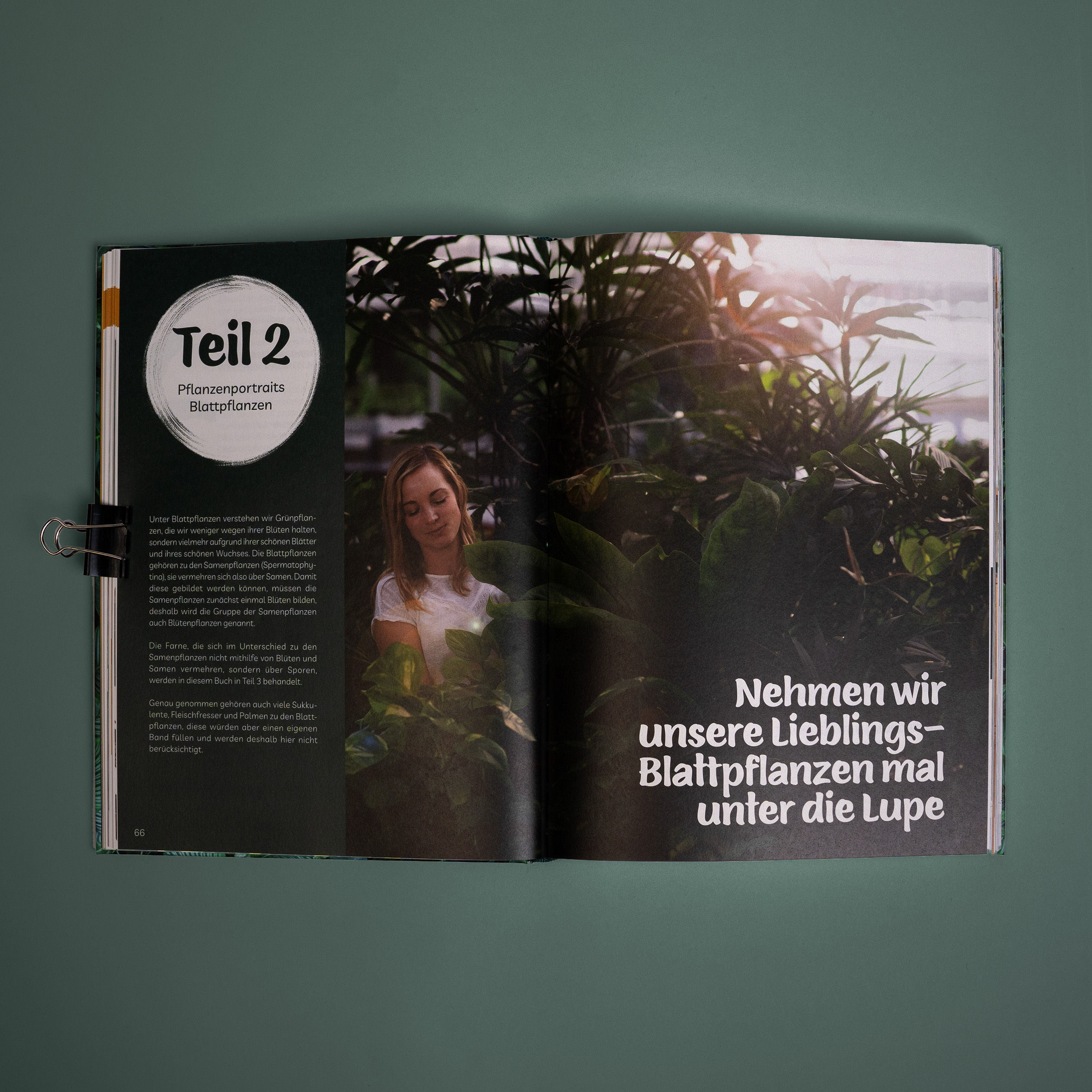 Plantaddiction Buch – Ansicht 3
