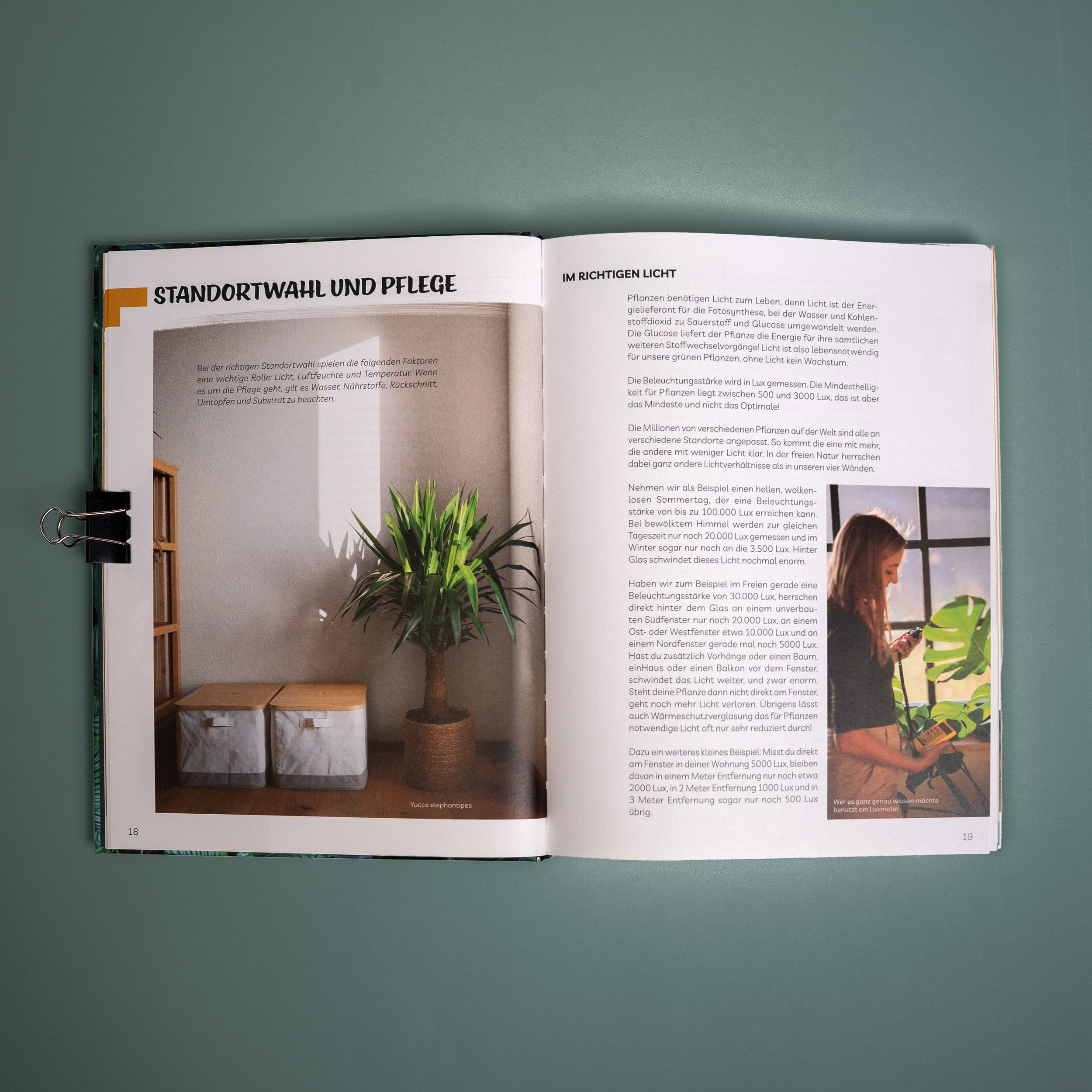 Plantaddiction Buch – Ansicht 4
