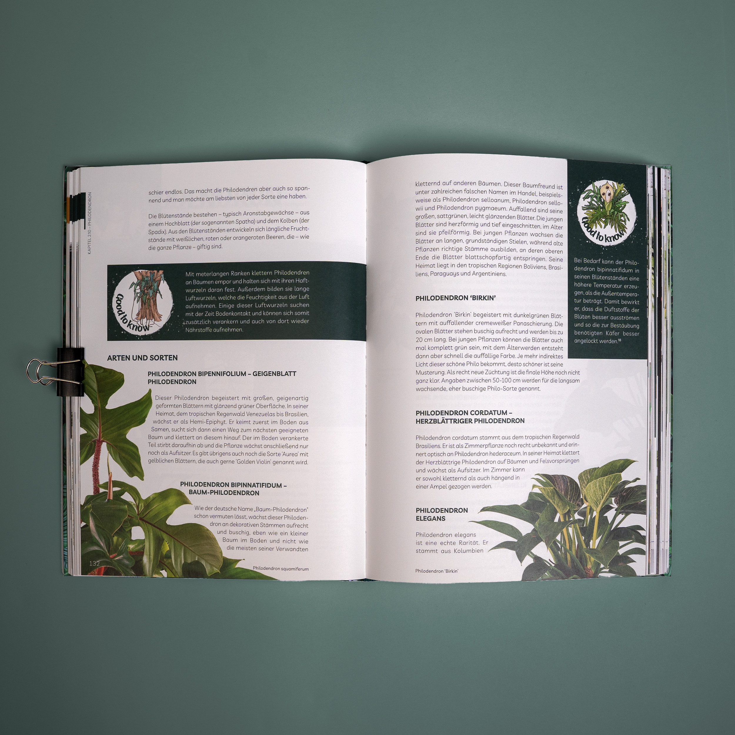 Plantaddiction Buch – Ansicht 5