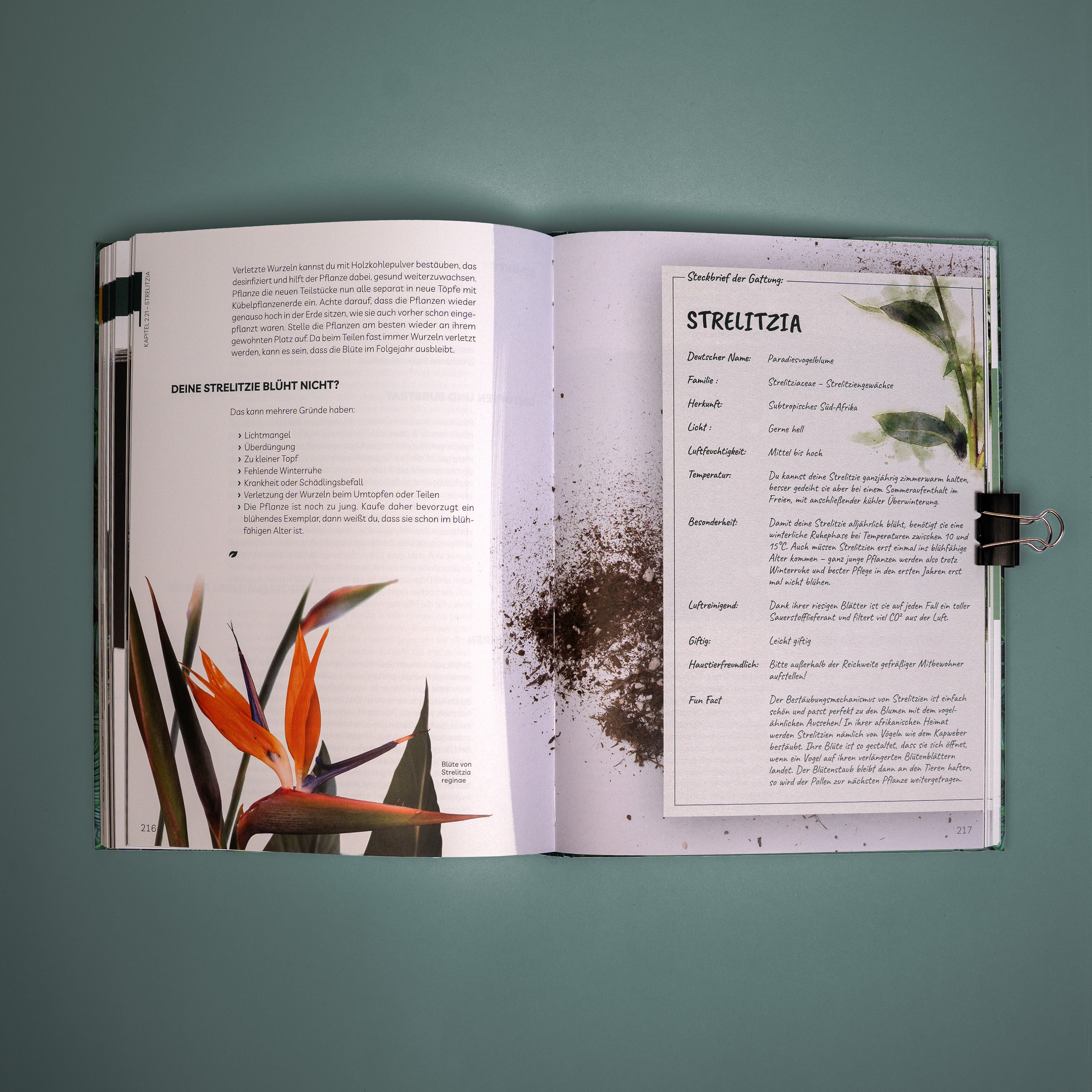 Plantaddiction Buch – Ansicht 6